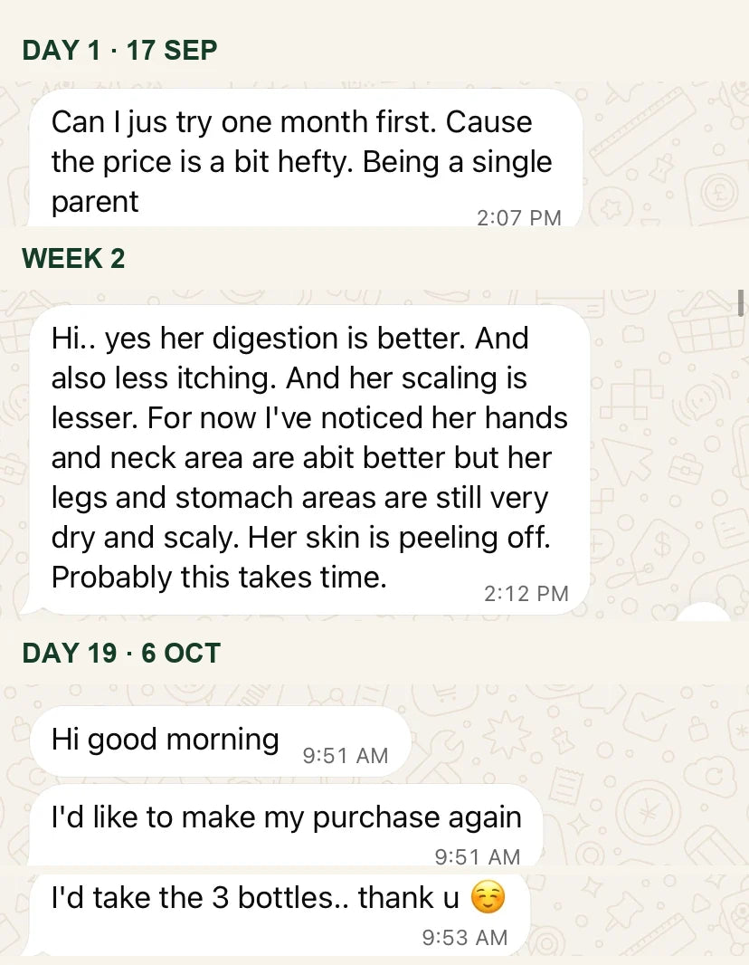Khatijah WhatsApp messages from day 1 to day 19