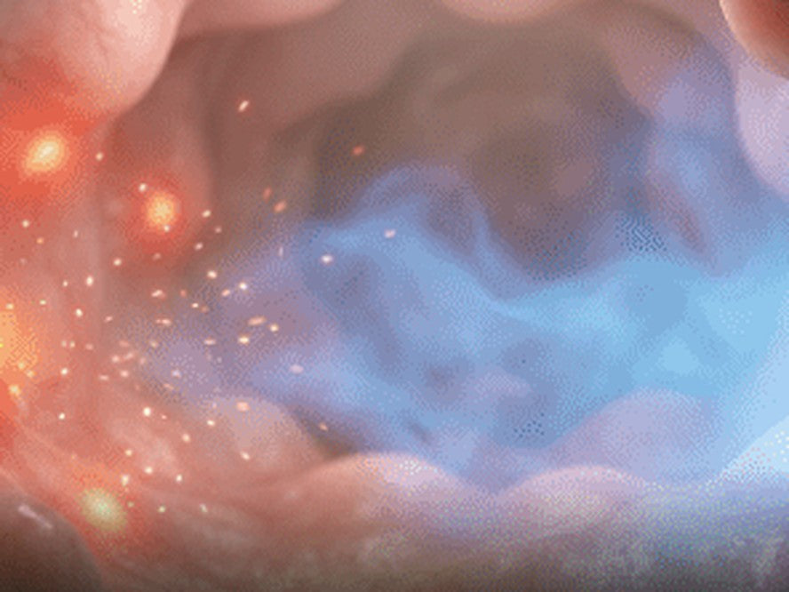 Calm: blue spirulina calming the overreaction