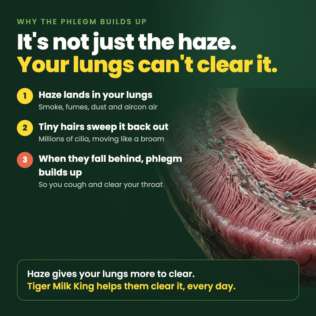 Tigrox Tiger Milk King - MakeHealth-Easier